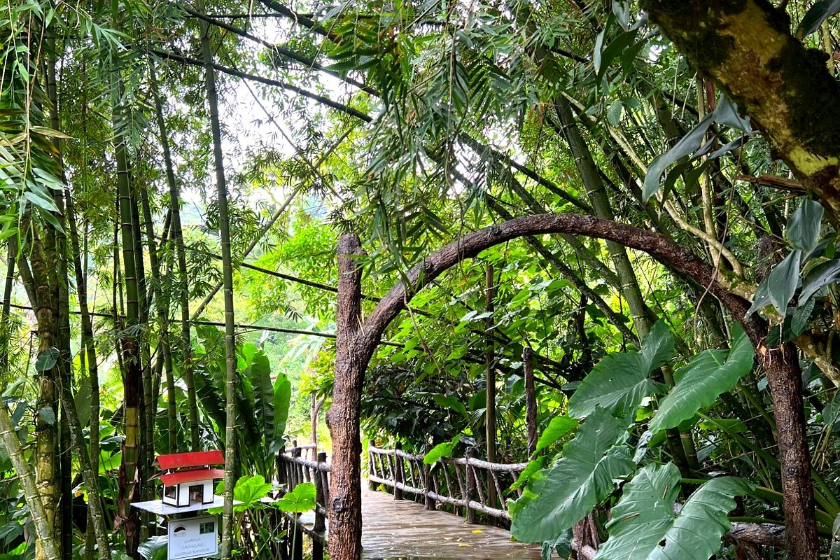 Sendero en la naturaleza